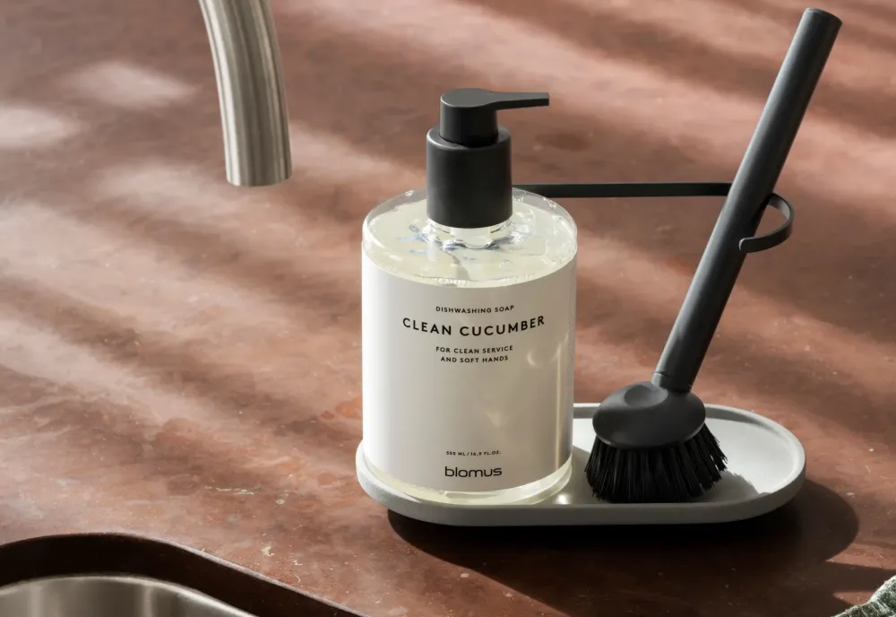 Blomus Afwasborstel Arja Black Clearance