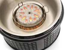 Cobb Barbecue Pro Zalmrood Best