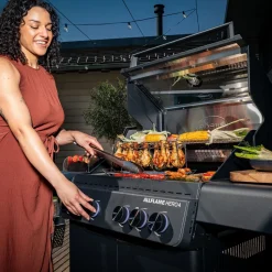 Barbecue Rösle Allflame Gas Hero 4