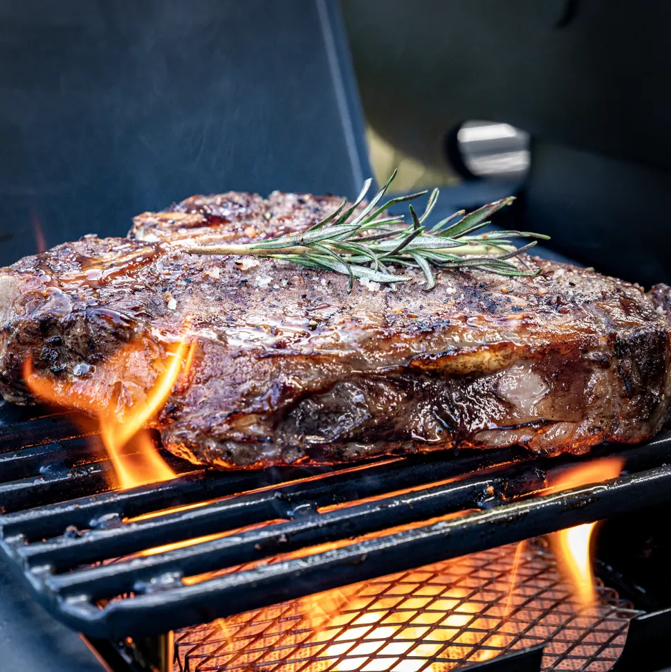 Barbecue Rösle Blazeflame Gas Blazeflame Master 3