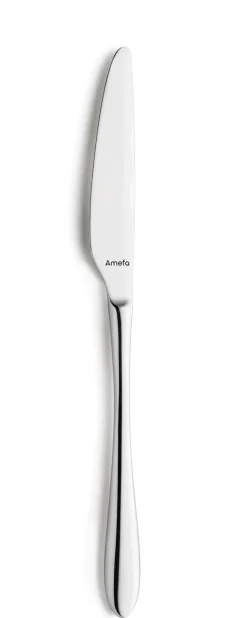 Bestekset Amefa Cuba Zilver (24-delig)