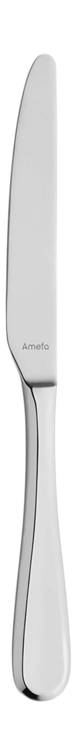 Bestekset Amefa Drift Zilverkleurig (24-Delig)