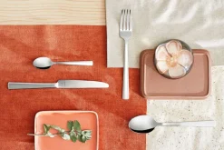 Bestekset Amefa Moderno Zilver (78-delig)