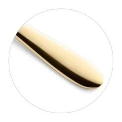 Bestekset Amefa Oxford Goud (24-delig)