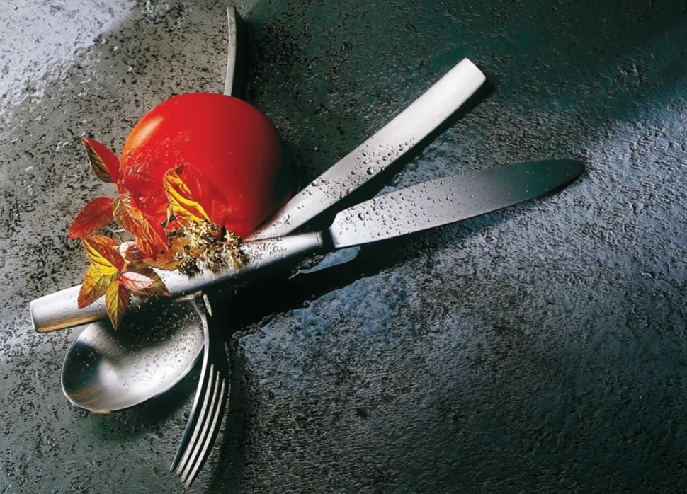 Bestekset Mepra Mediterranea Ice Zilver (75-delig)