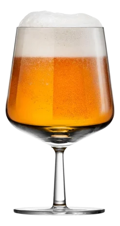 Iittala Bierglas Essence Helder 480 ml (Set van 2) Best