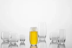 Bierglas Schott Zwiesel For You 430 ml (4-delig)