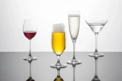 Bierglas Schott Zwiesel Mondial (6-delig)