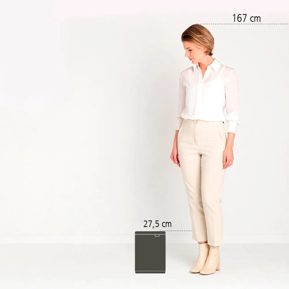 Brabantia Bo Afvalemmer - Matt Steel FPP
