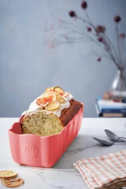 Emile Henry Cakevorm Madeleine Rose Candy 28,5 x 15 x 9 cm Best