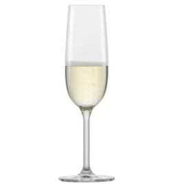 Schott Zwiesel Champagneflûte For You 210 ml (4-delig) New