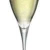 Champagneglas Bormioli Rocco Galileo 260 ml (Set van 2)