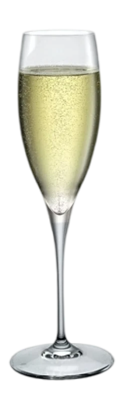 Champagneglas Bormioli Rocco Galileo 260 ml (Set van 2)
