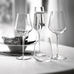 Bormioli Rocco Champagneglas Inalto Uno 28 cl (Set van 6) New