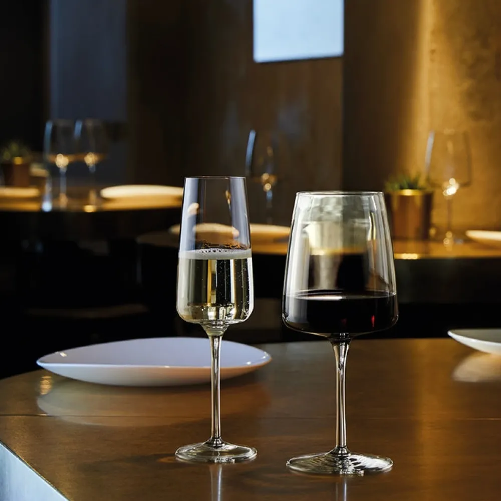 Bormioli Rocco Champagneglas Planeo 24 cl (Set van 4)