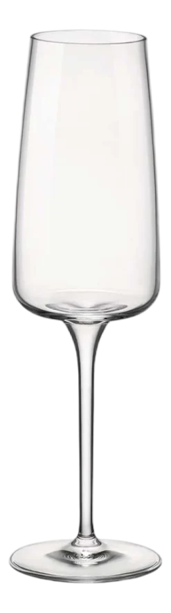 Bormioli Rocco Champagneglas Planeo 24 cl (Set van 4)