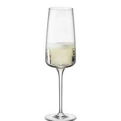 Bormioli Rocco Champagneglas Planeo 24 cl (Set van 4)