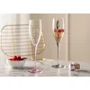 Champagneglas Leonardo Poesia Grijs 250ml (Set van 6)