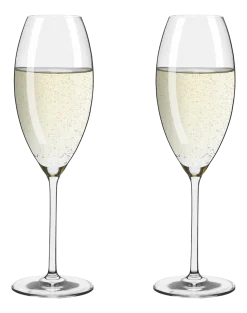 Champagneglas Ritzenhoff Glanzlicht 325 ml (Set van 2)