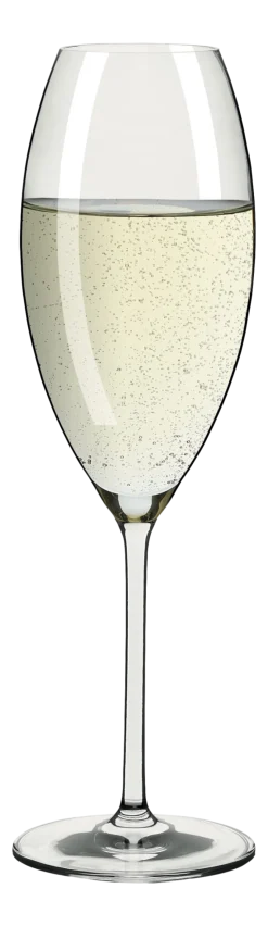 Champagneglas Ritzenhoff Glanzlicht 325 ml (Set van 2)