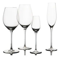 Champagneglas Salt & Pepper Cuvee 210 ml (Set van 6)