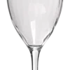 Champagneglas Salt & Pepper Saga Transparent 290 ml (Set van 4)