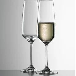 Champagneglas Schott Zwiesel Taste (6-delig)