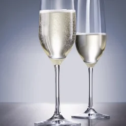 Schott Zwiesel Champagneglas Viña Dun (6-delig) Sale