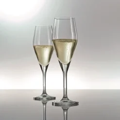 Schott Zwiesel Champagneglas Audience (6-delig) Outlet