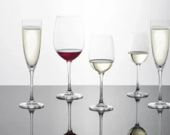 Champagneglas Schott Zwiesel Classico 210 ml (Set van 6)