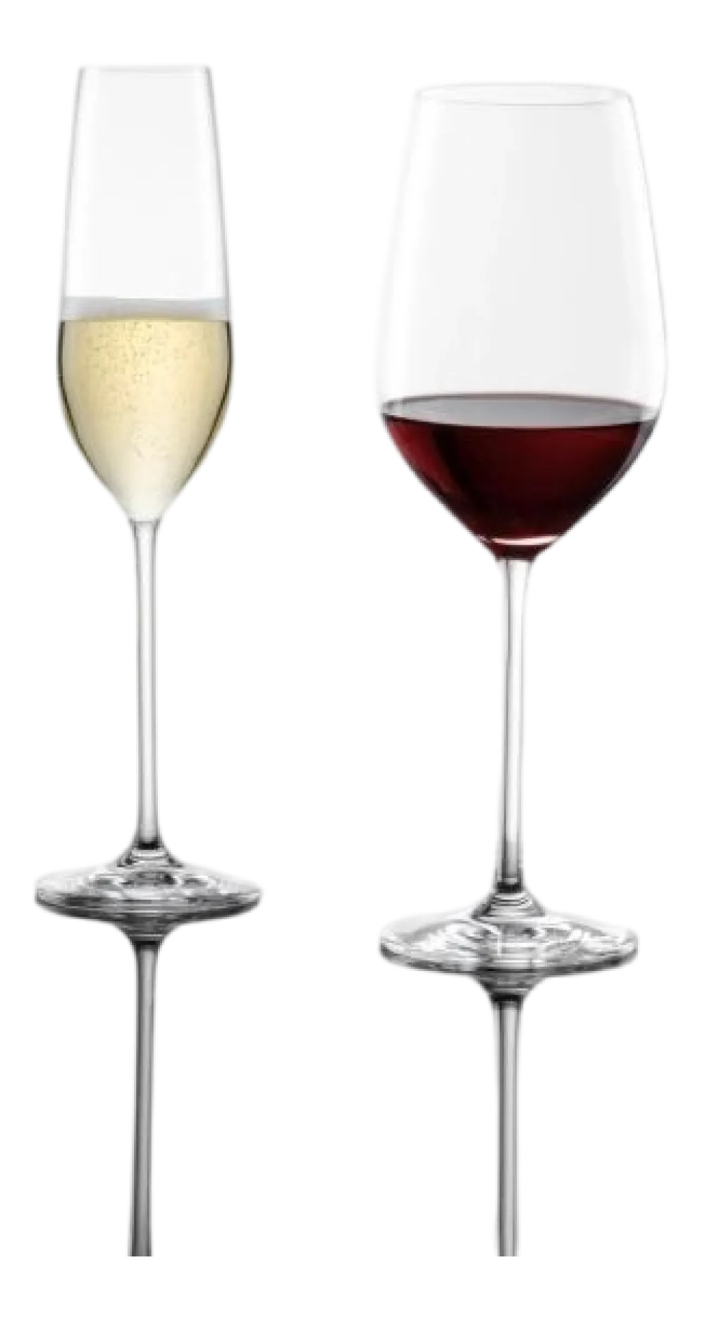 Schott Zwiesel Champagneglas Fortissimo 240 ml (Set van 4) Sale