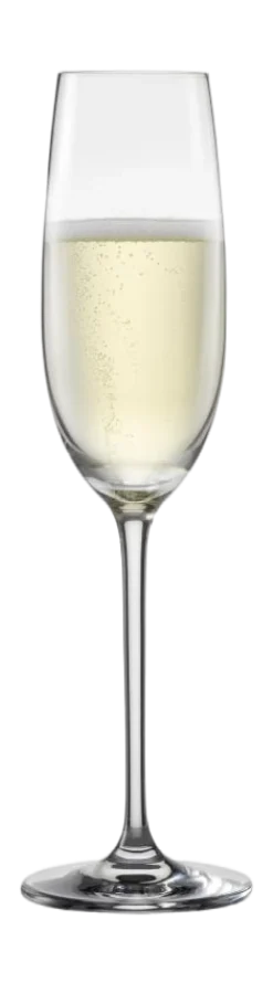 Schott Zwiesel Champagneglas Vinos 238 ml (Set van 4) New