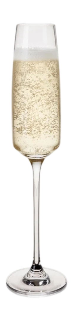 Champagneglas Viski Reserve Julien 175 ml (Set van 4)