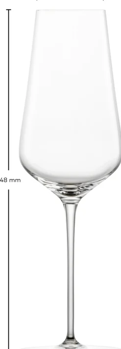 Zwiesel Glas Champagneglas Duo 378 ml (Set van 2) Hot