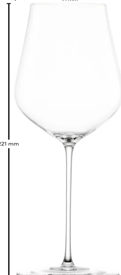 Zwiesel Glas Champagneglas Kolibri 483 ml (Set van 2)