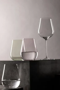 Zwiesel Glas Champagneglas Kolibri 483 ml (Set van 2)