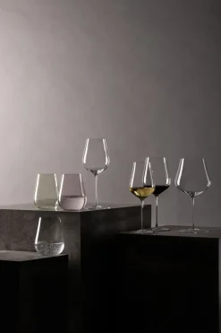 Zwiesel Glas Champagneglas Kolibri 483 ml (Set van 2)