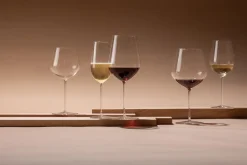 Champagneglas Zwiesel Glas Vuelo 323 ml (Set van 2)