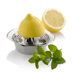 Citruspers Kela Vision Zilver