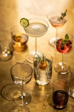 Cocktailcoupe Zwiesel Glas Tone 170 ml (Set van 4)