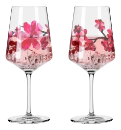 Cocktailglas Ritzenhoff Sommersonett #11 #12 544 ml (Set van 2)