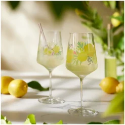Ritzenhoff Cocktailglas Sommertau #19 #20 544 ml (Set van 2) Best