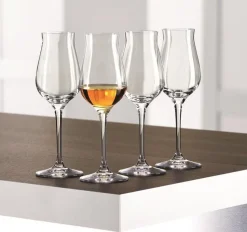 Digestiefglas Spiegelau Authentis 170 ml (4-delig)