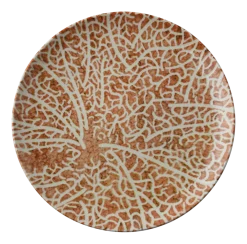 Arthur Krupp Dinerbord Porcelain Nature Essence C 27,5 cm