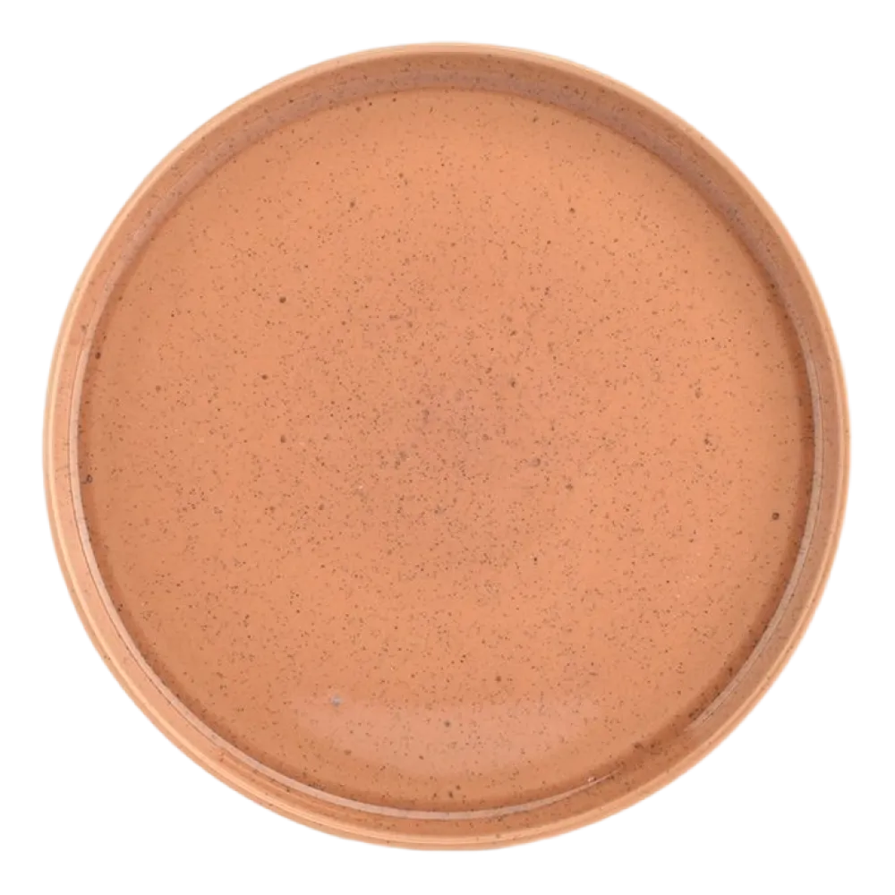 Salt & Pepper Dinerbord Blush Peach 27,5 cm (Set van 4) Outlet