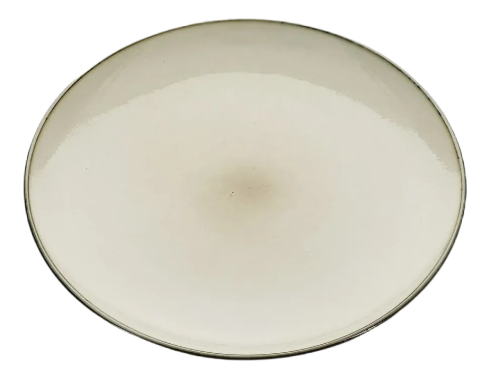 Dinerbord Salt & Pepper Meridian Ivory Beige 26 cm (Set van 4)