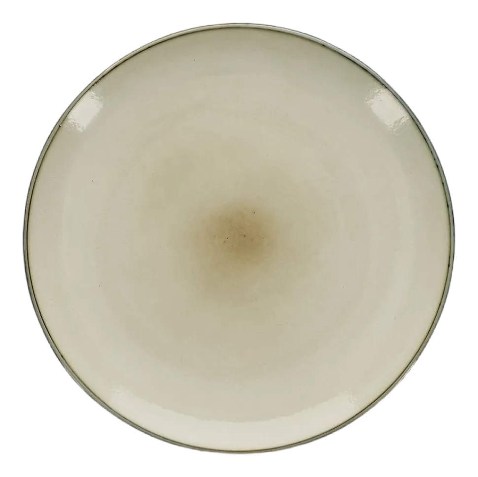 Dinerbord Salt & Pepper Meridian Ivory Beige 26 cm (Set van 4)