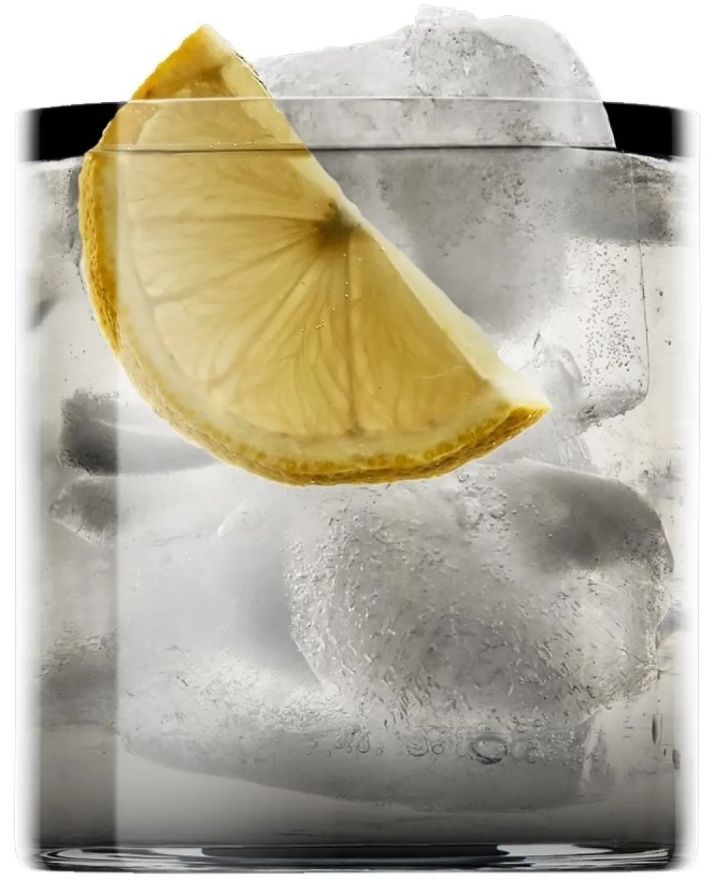 Luigi Bormioli DOF Whiskyglas Top Class 365 ml (6-Delig)