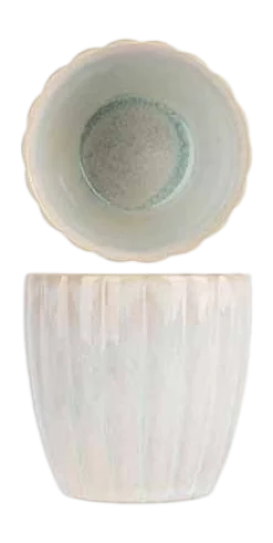 Cosy & Trendy Drinkbeker Astera Pure 240 ml (Set van 6) Online