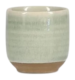 Salt & Pepper Eierdop Cameo Green (Set van 4) Best